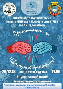 Новогодний BRAIN-RING Новогодний BRAIN-RING